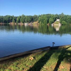 Meet your Posher, Alicia